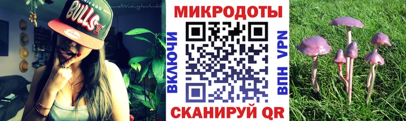 Галлюциногенные грибы GOLDEN TEACHER  Пласт 